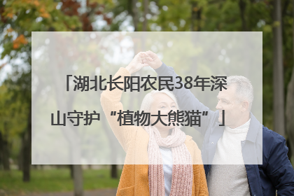 湖北长阳农民38年深山守护“植物大熊猫”